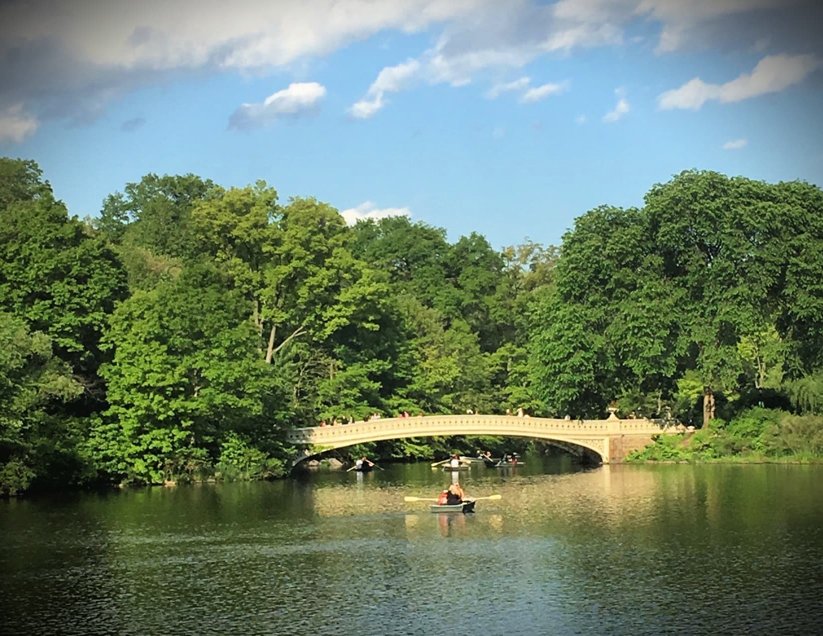 Picnicking in Central Park How to Have a Perfect NYC Picnic