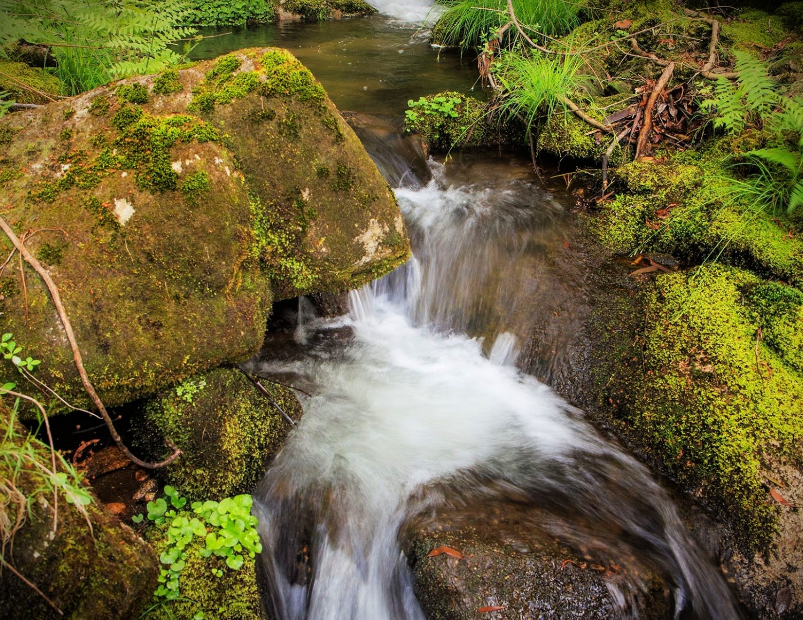 25 Best Day Trips From Montreal Locations You'll Love