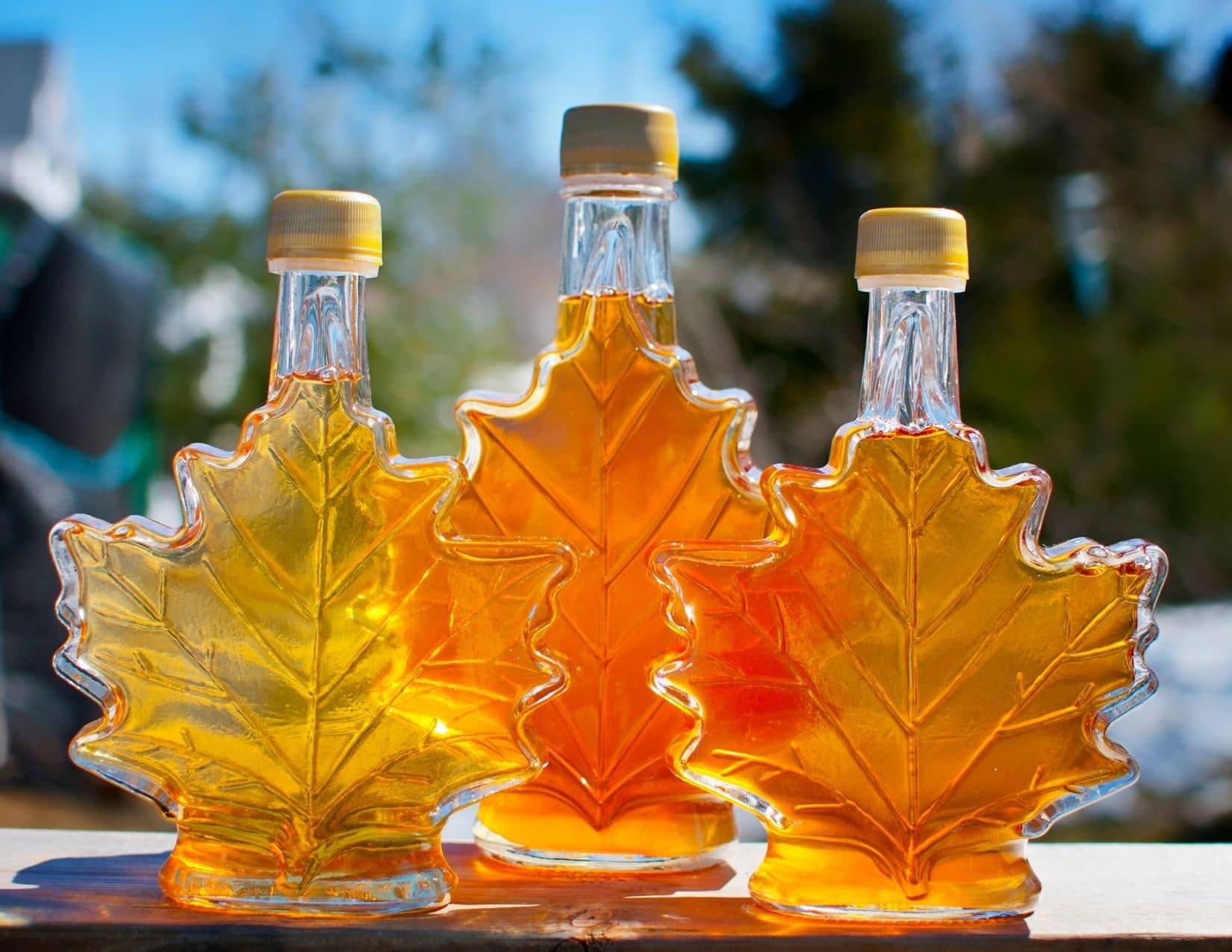 26 Best Canadian Souvenirs Canadian Gift Ideas You ll Love