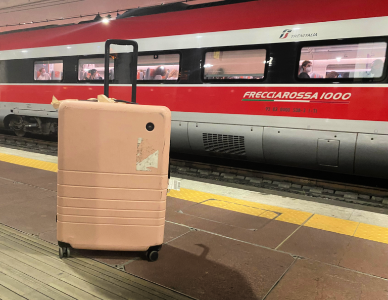 MONOS Luggage Review Is it 2024's Best Large Checked Bag?