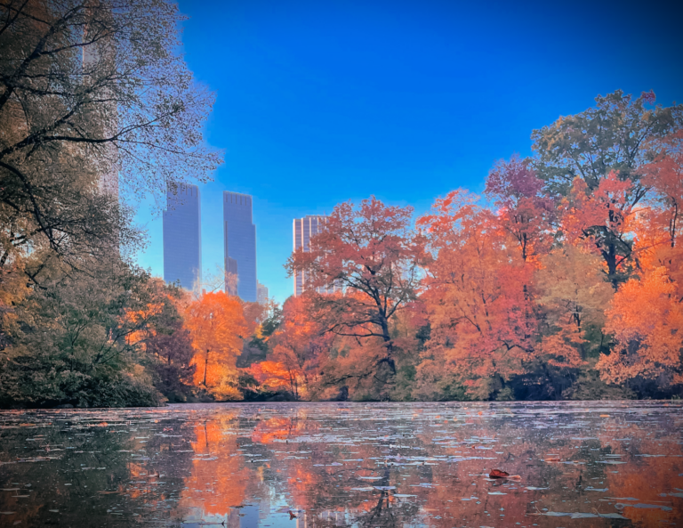 21 Best Fall Activities in NYC Make the Most of Autumn in NY