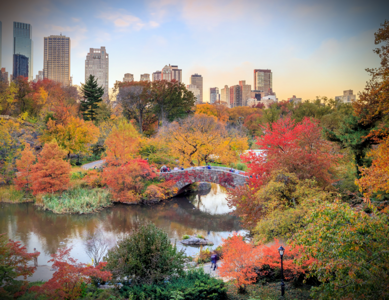 21 Best Fall Activities in NYC: Make the Most of Autumn in NY