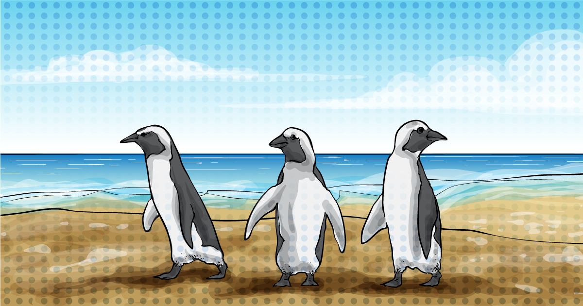 Visiting the Famous Cape Town Penguins: The Ultimate Guide