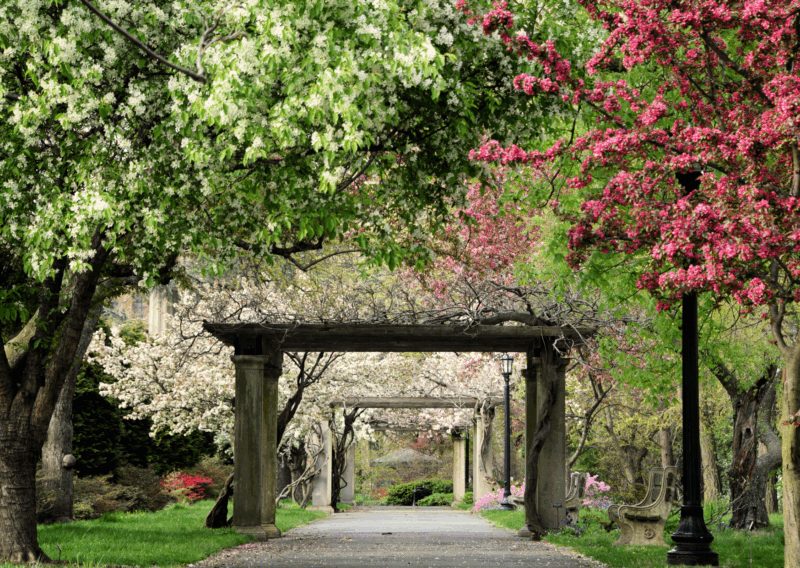 21 Best Fall Activities in NYC: Make the Most of Autumn in New York Crabapple blossoms and pergolas in the Osborne Garden. Photo by Steven Severinghaus.