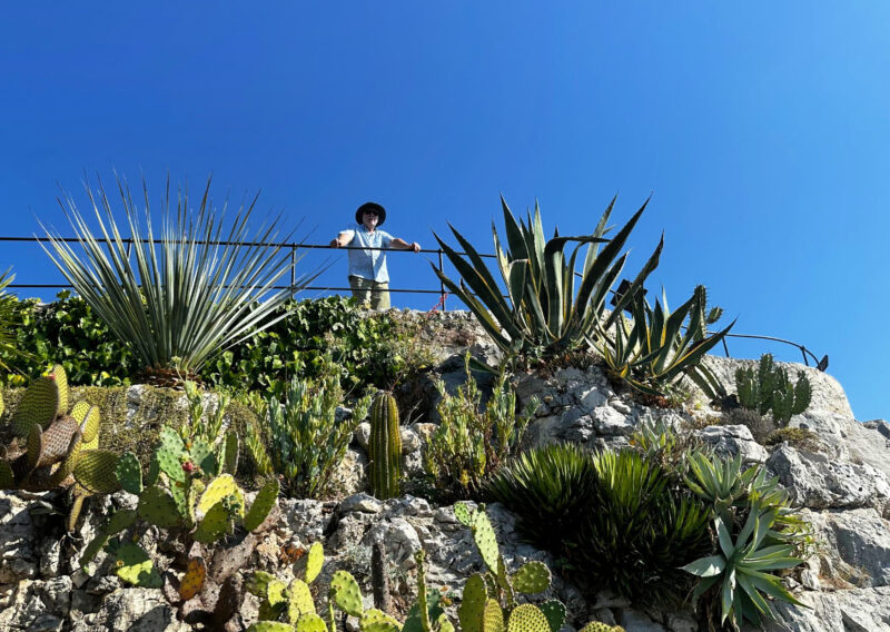 The 10 Best Things to Do in Èze: An Insider’s Guide sam gibson in eze