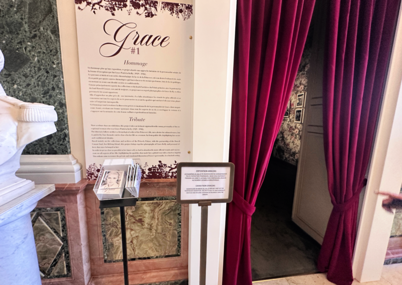 Monaco Palace Tour: Explore the Regal Heart of the Principality 18