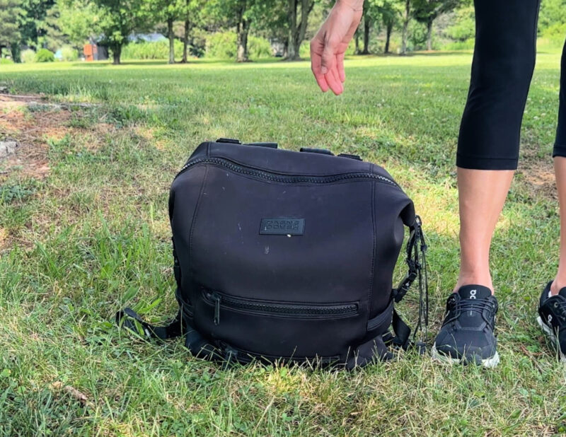 Dagne Dover vs. No Reception Club: Best Travel Diaper Bag? dagne dover indi backpack ally travels
