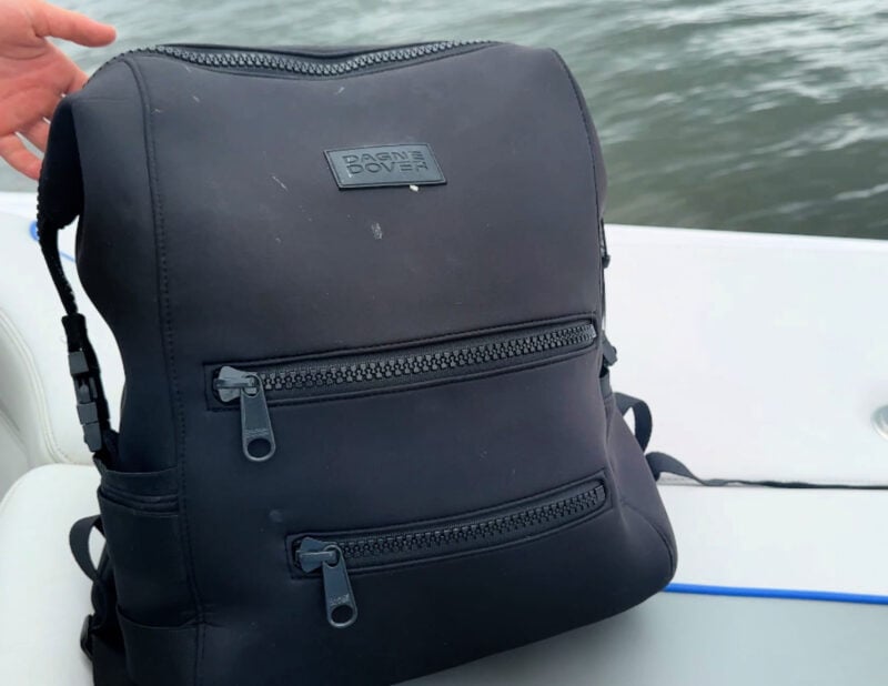 Dagne Dover vs. No Reception Club: Best Travel Diaper Bag? dagne dover indi diaper backpack on a boat