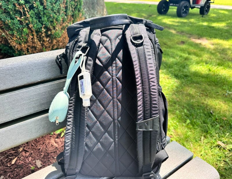Dagne Dover vs. No Reception Club: Best Travel Diaper Bag? no reception club diaper backpack - backpanel