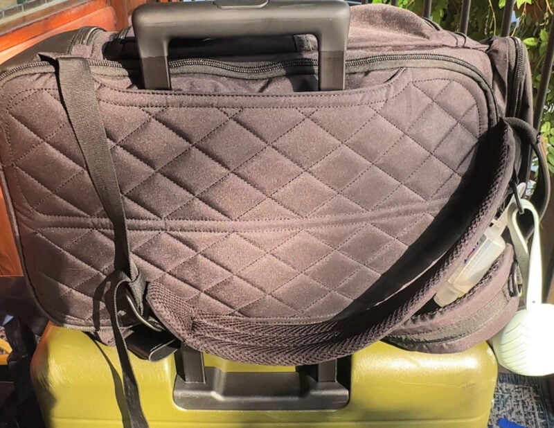 Dagne Dover vs. No Reception Club: Best Travel Diaper Bag? no reception club trolley sleeve