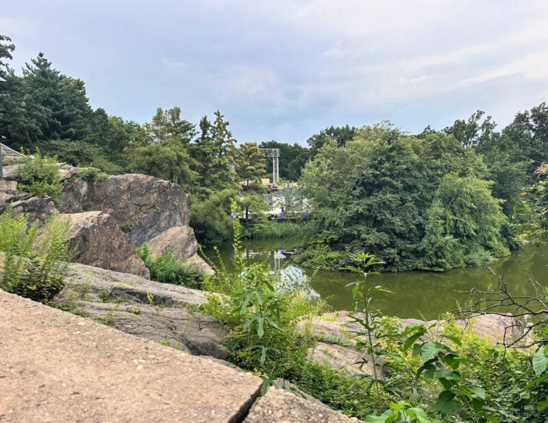 Shakespeare in the Park NYC: Your 2026 Guide to Free Theater Shakespeare in the park - central park