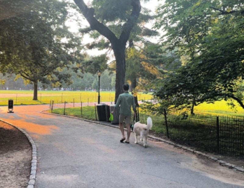 Shakespeare in the Park NYC: Your 2026 Guide to Free Theater walking into Central Park from the upper east side